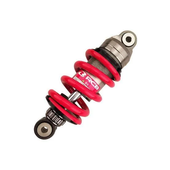 Bajaj NS200 RACING BOY  high performance mono shock