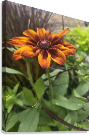 Blooming Brightly