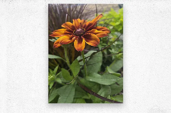 Blooming Brightly