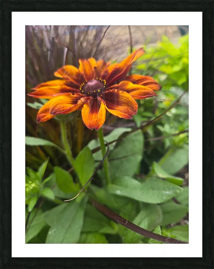Blooming Brightly