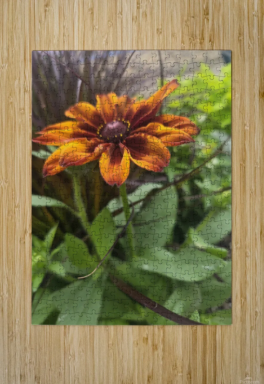 Blooming Brightly