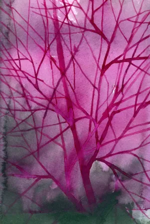 Dark Pink Tree — Study  - Small Abstract Landscape