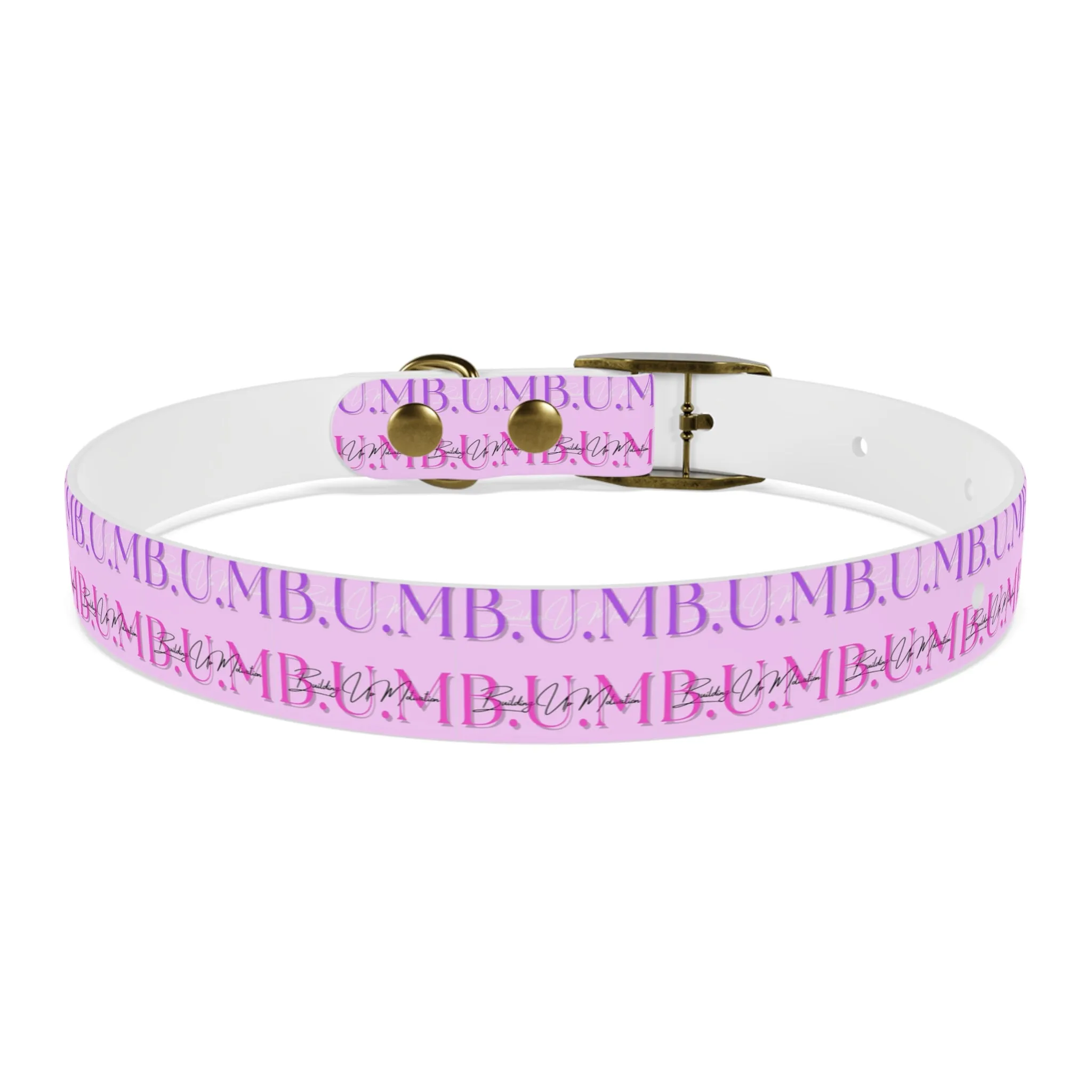 Dog Collar