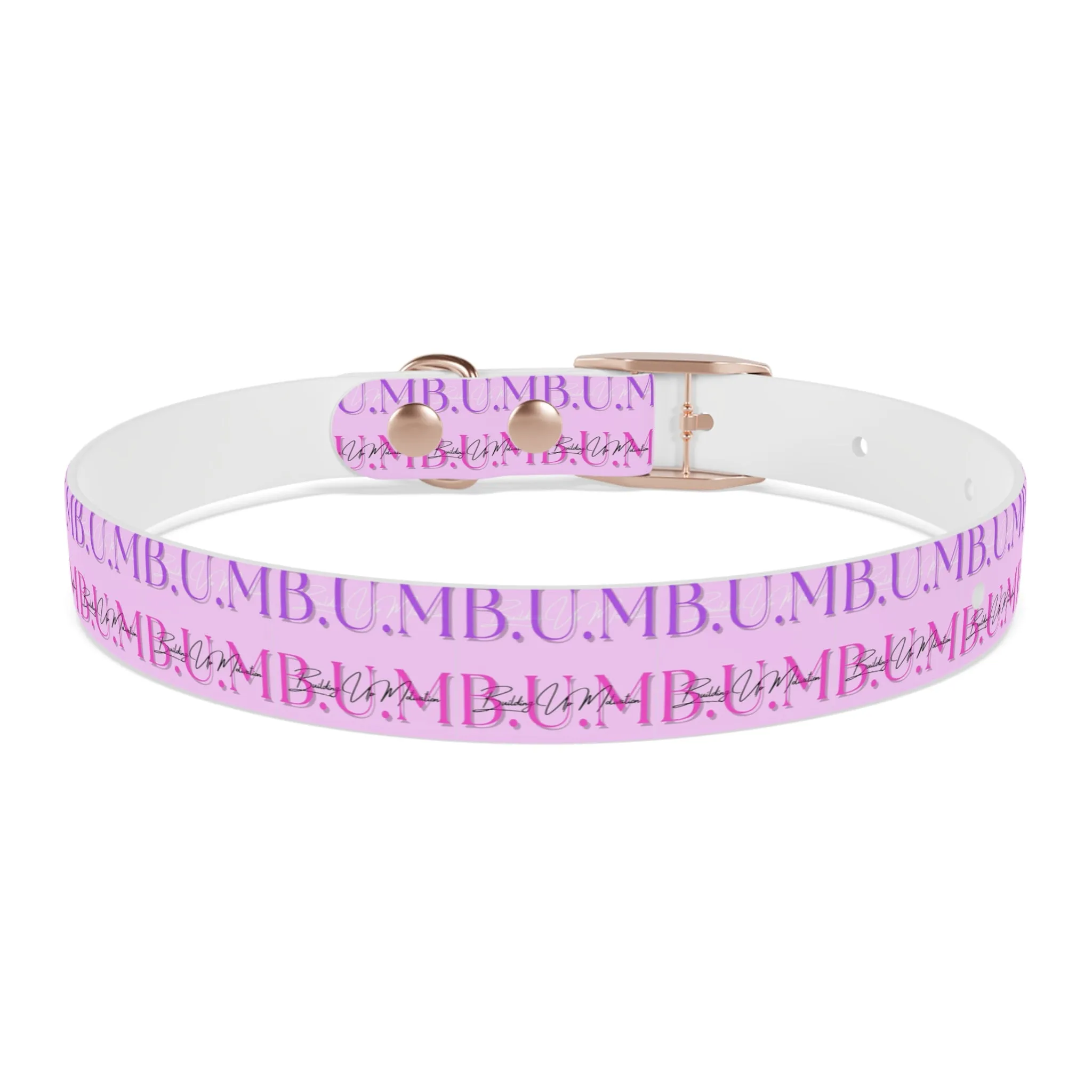 Dog Collar
