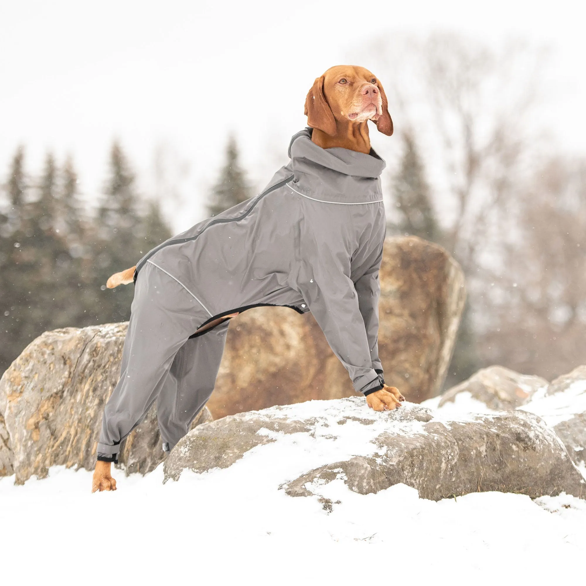 Dog Full Body Splash Suit - Charcoal