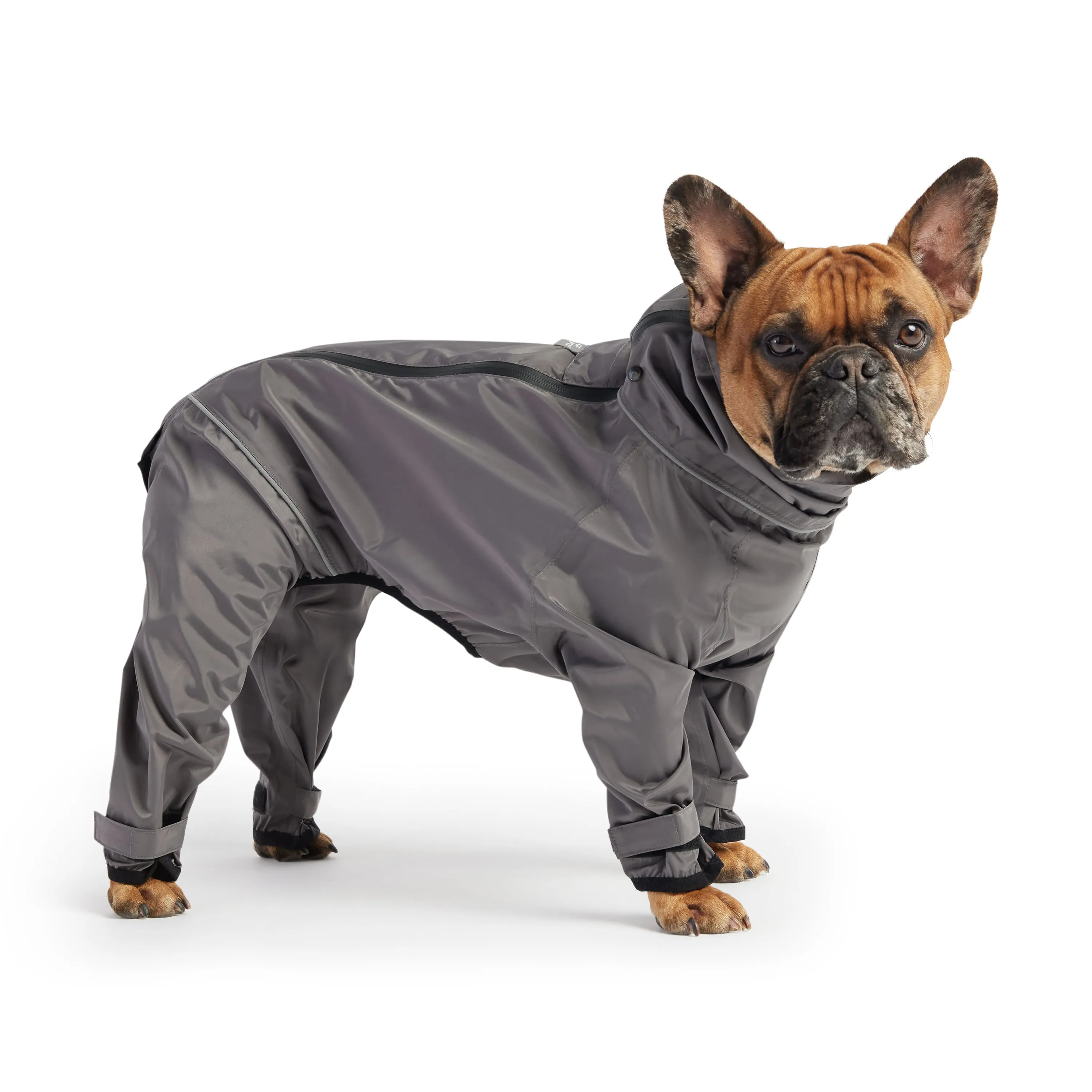 Dog Full Body Splash Suit - Charcoal