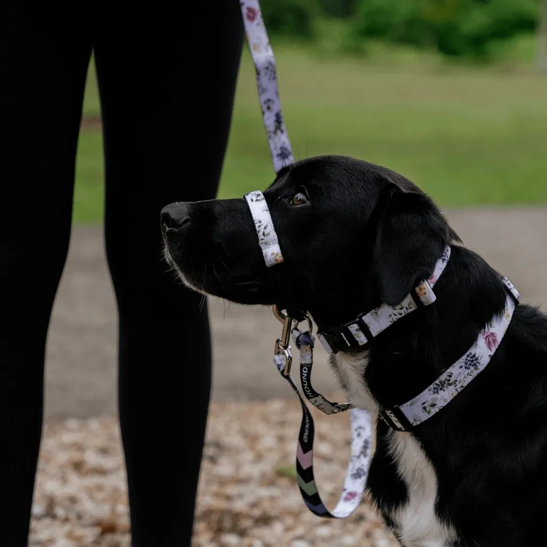 Evergreen Halter    Safety Clip