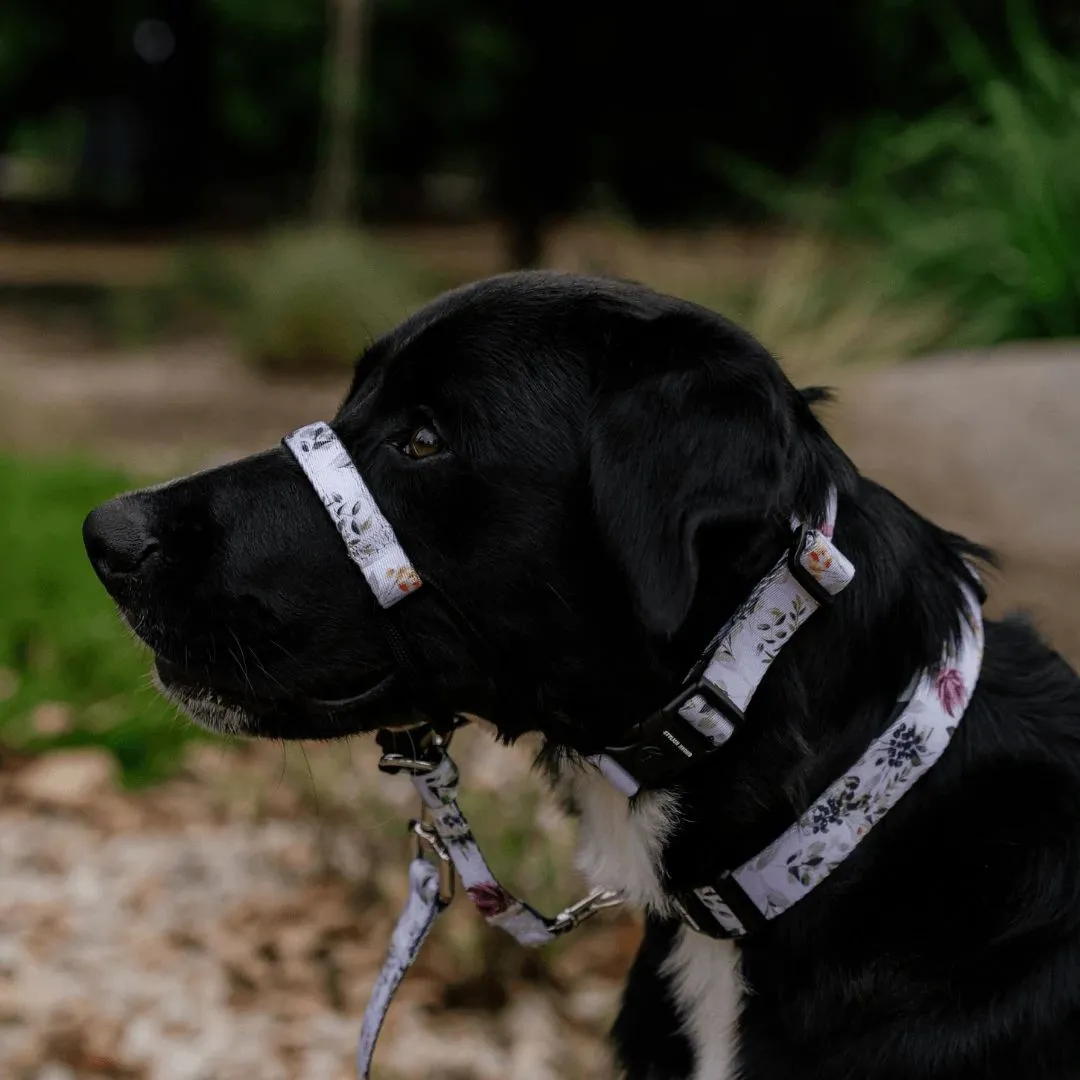 Evergreen Halter    Safety Clip