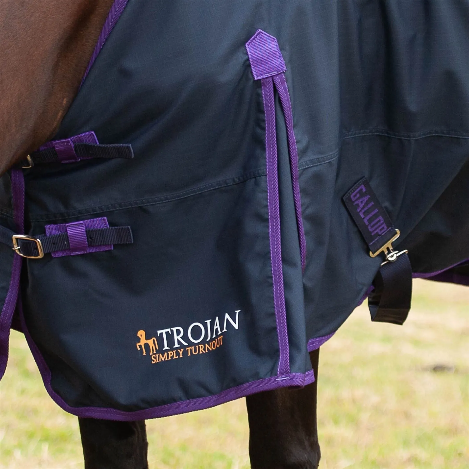 Gallop Equestrian Trojan Light Weight Turnout Rug