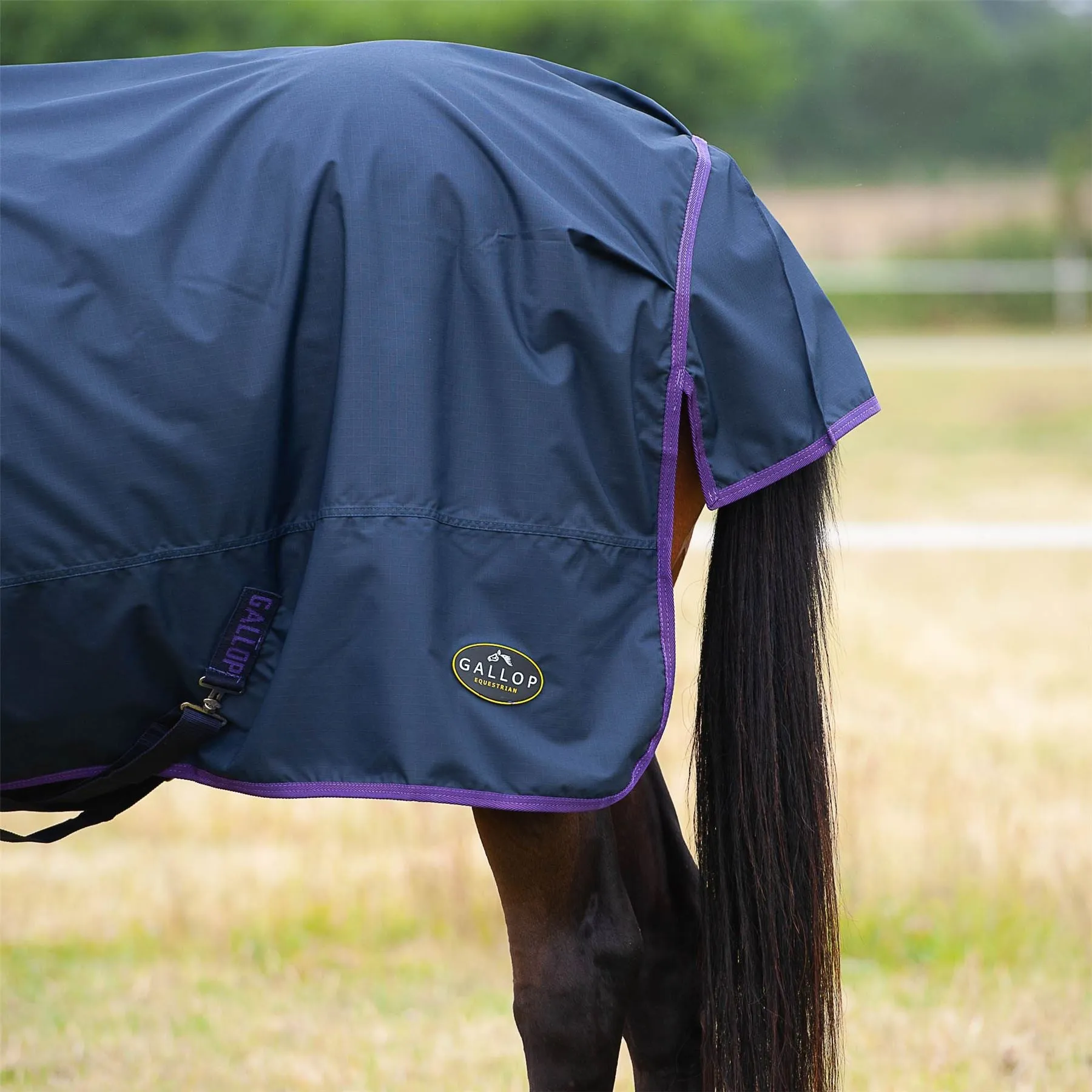 Gallop Equestrian Trojan Light Weight Turnout Rug