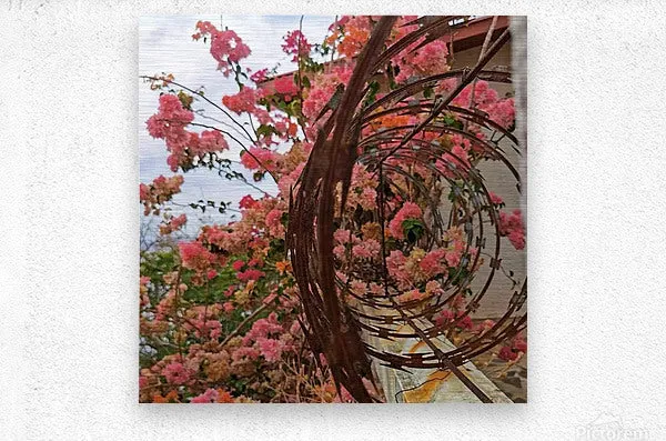 Intertwined