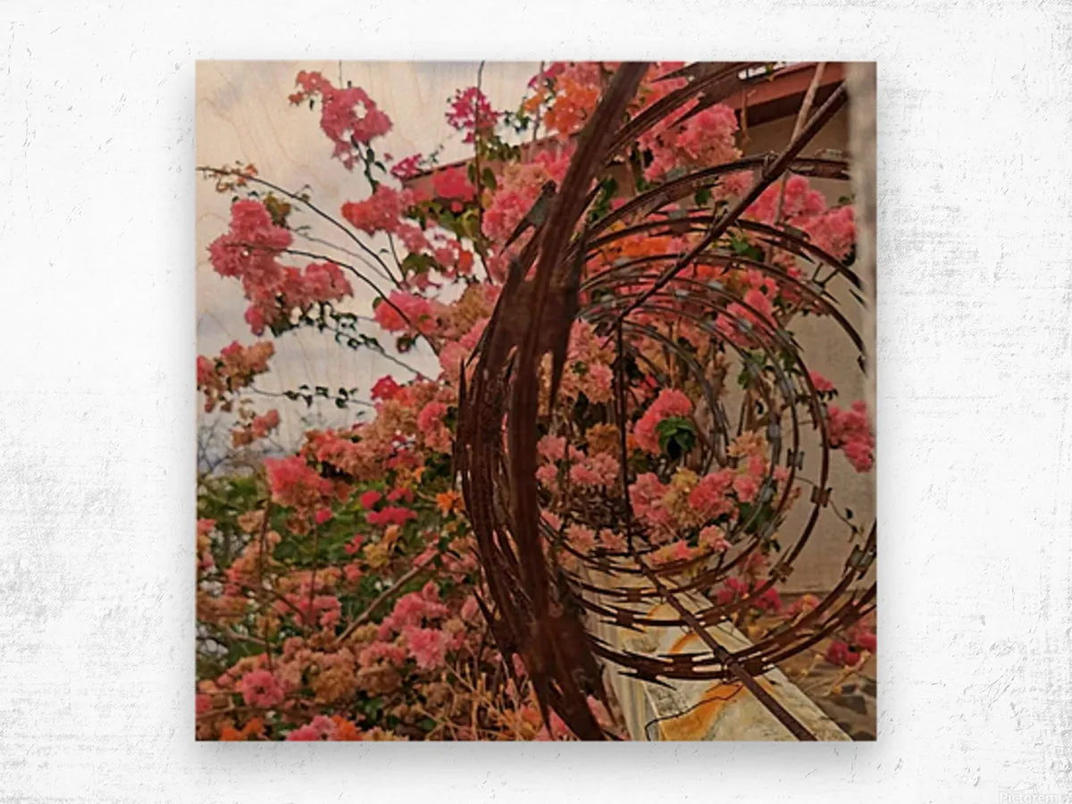 Intertwined