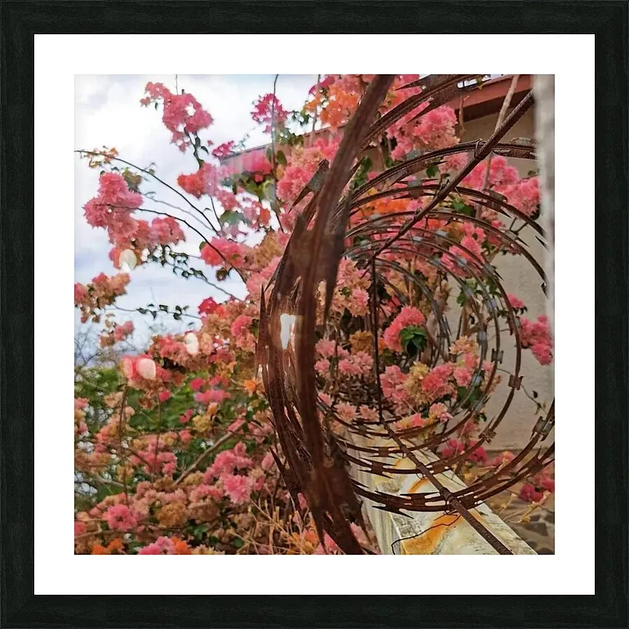 Intertwined