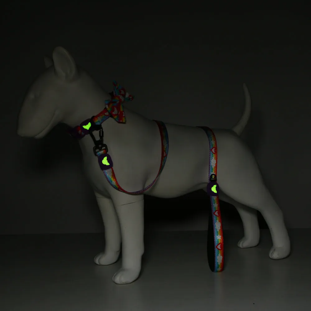 Matching Rainbow Leash | Fluffing Perfect Collection