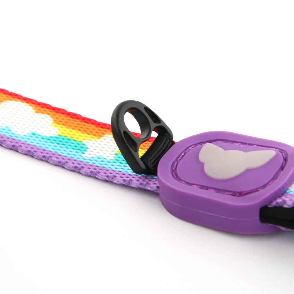 Matching Rainbow Leash | Fluffing Perfect Collection
