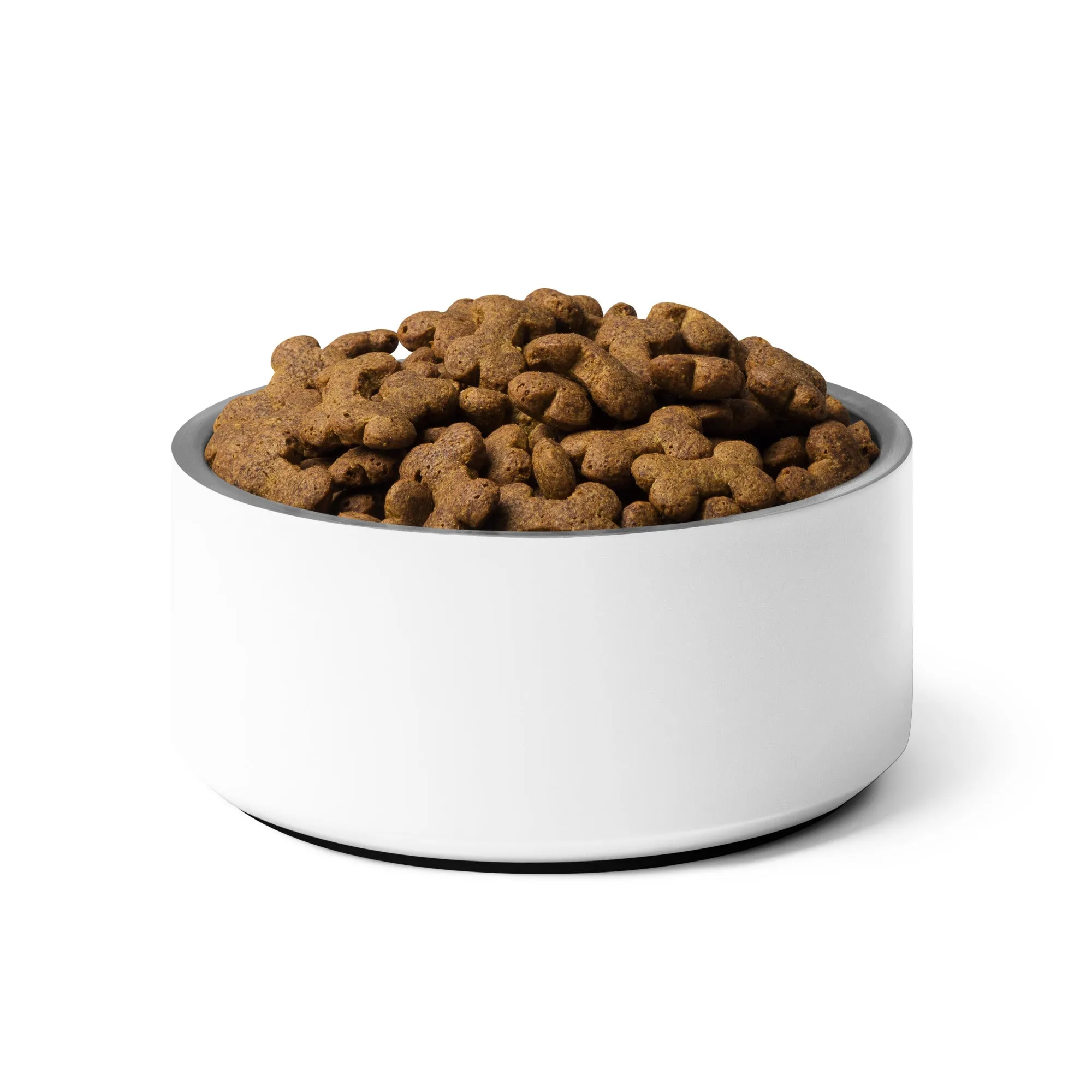 Motivated Pet bowl