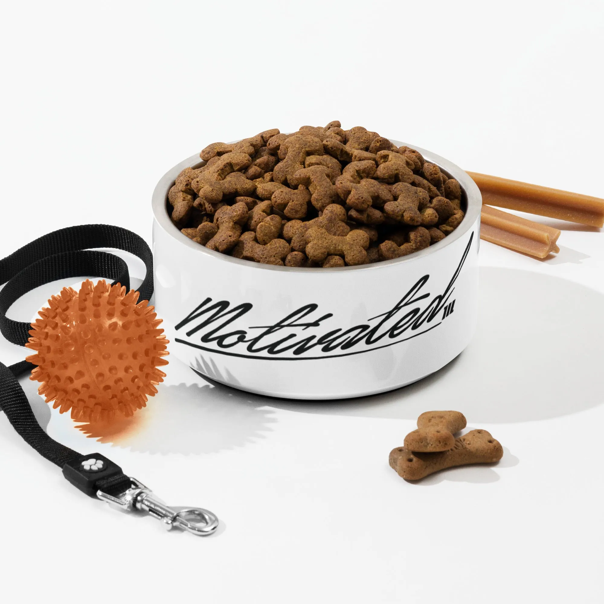 Motivated Pet bowl