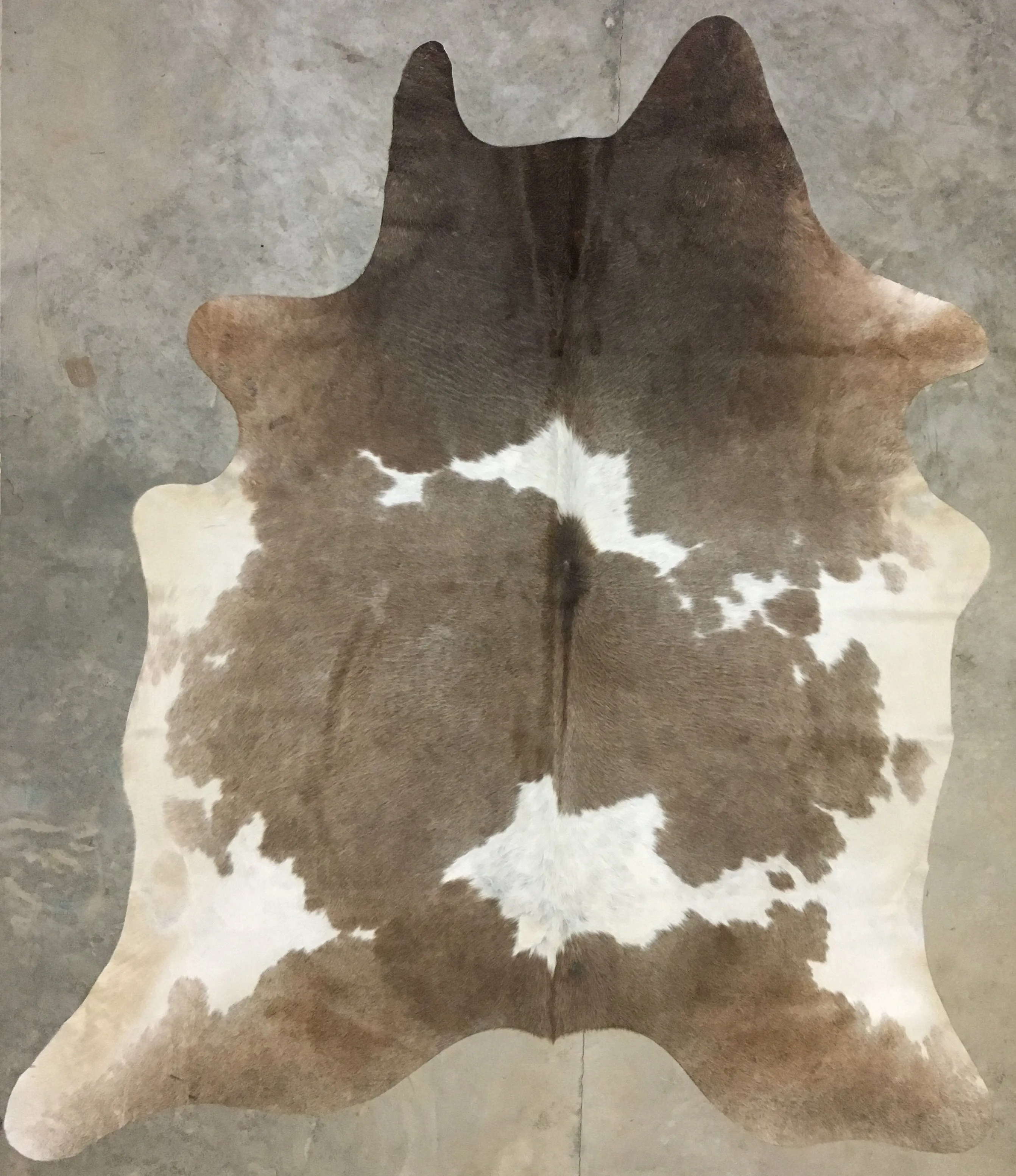 Mushroom and White Premium Brazilian Hide, XL CH74N V