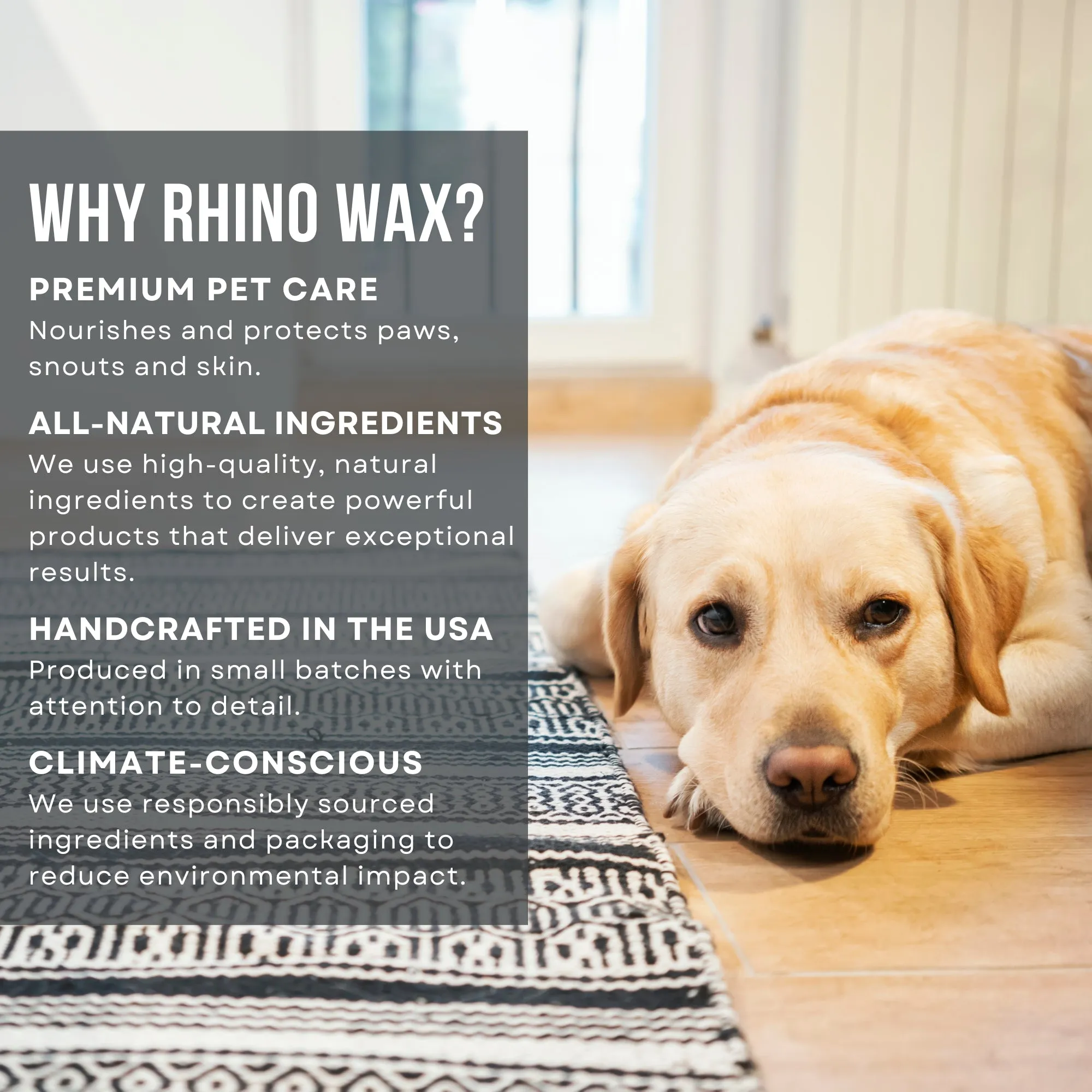 Protect and Heal Paw Pack - Protective Street Wax and Healing Balm (2 Pack)