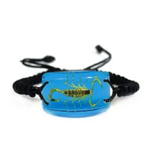 Real Scorpion Rectangle Shaped Bracelet Real Nature Gift With Box