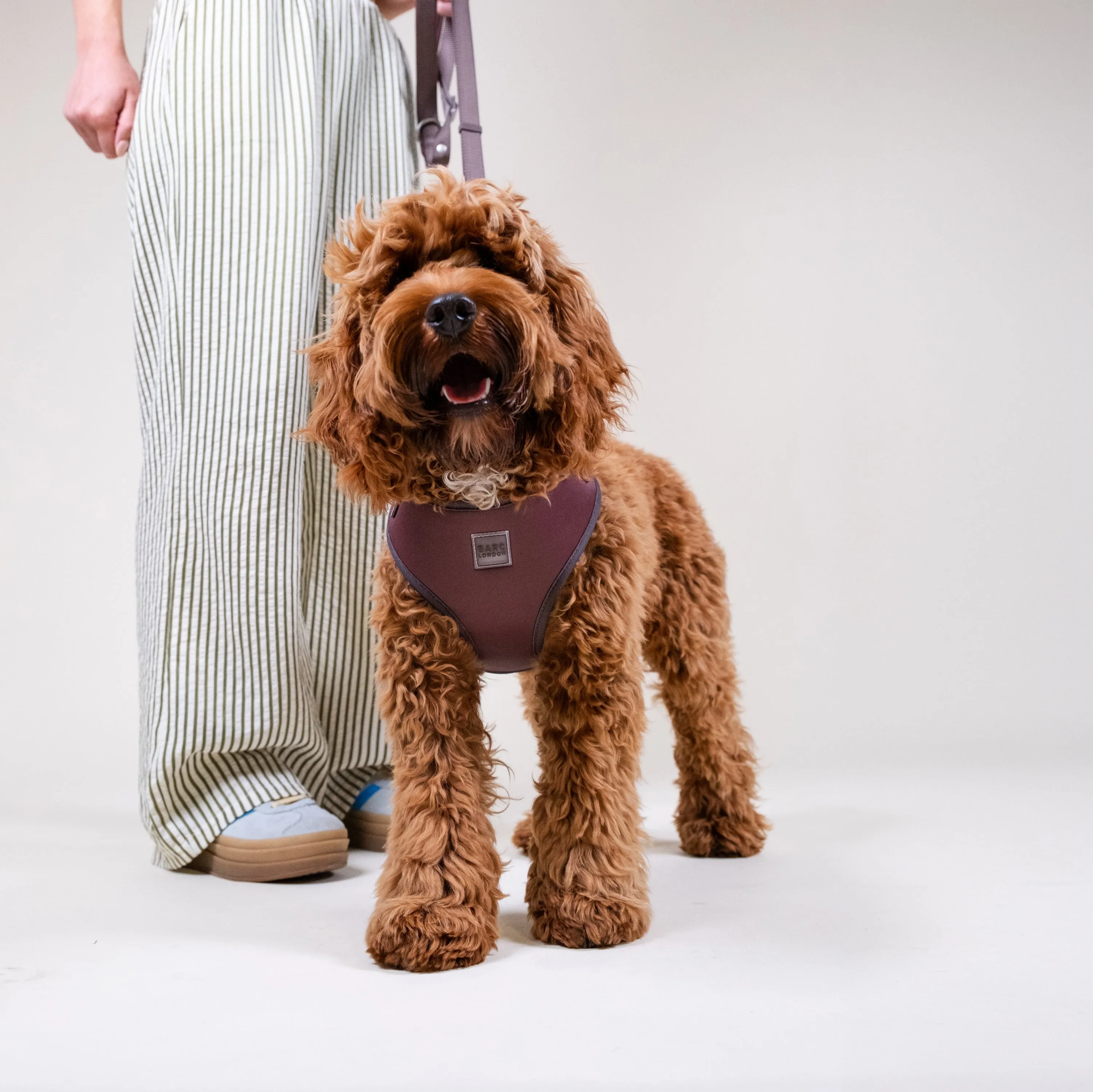 Russet Brown Essential Set