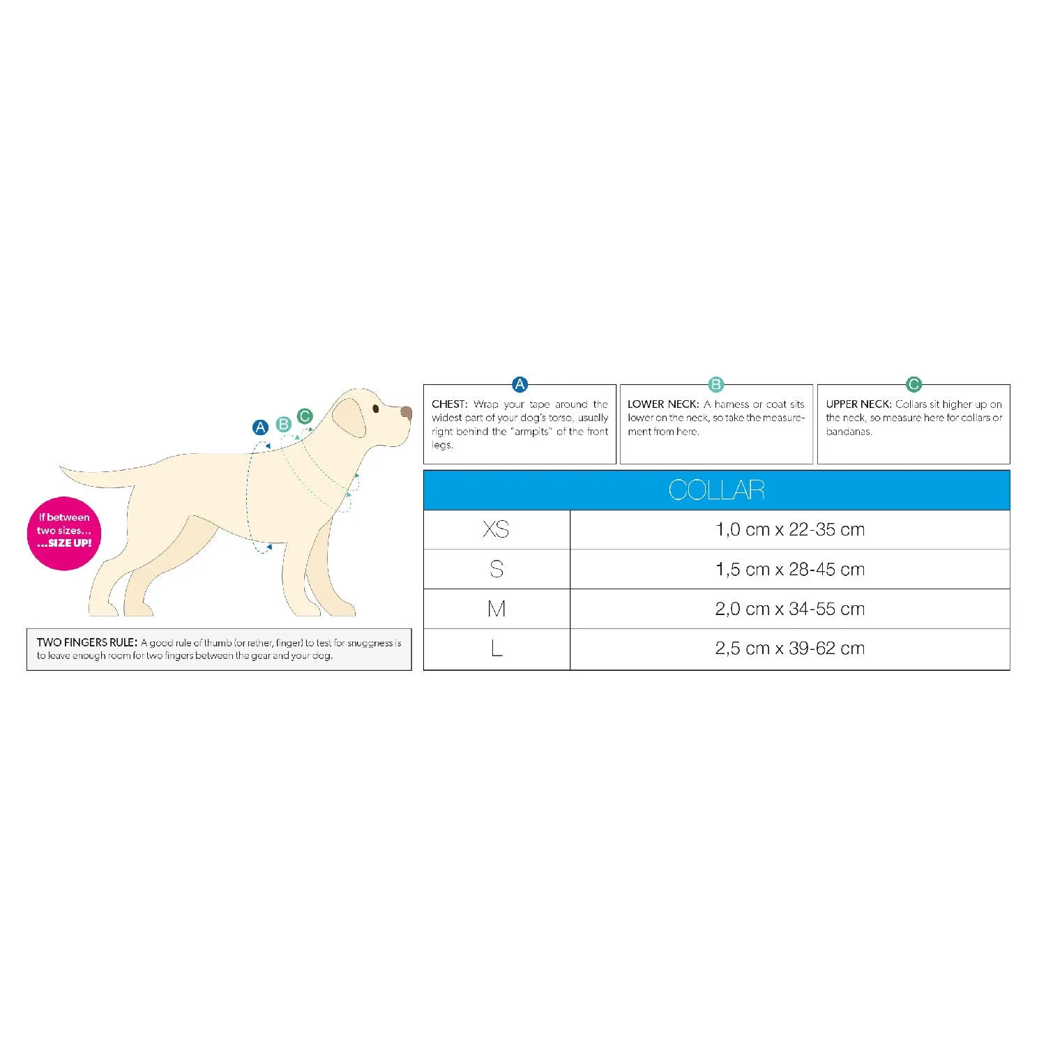 Smart ID Dog Collar - Strawberry