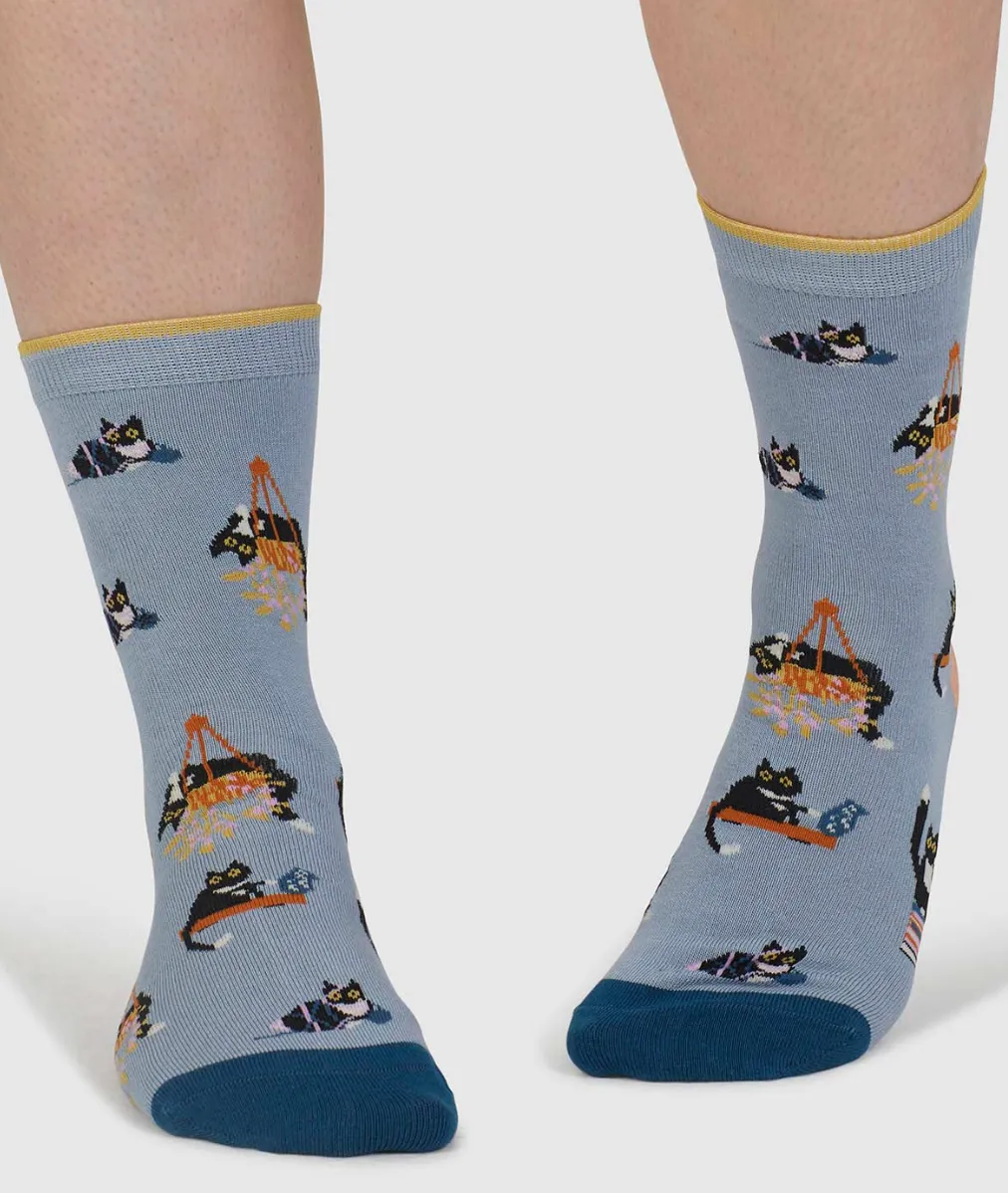 Thought Sasha Cat Organic Cotton 4 Pack Sock Box