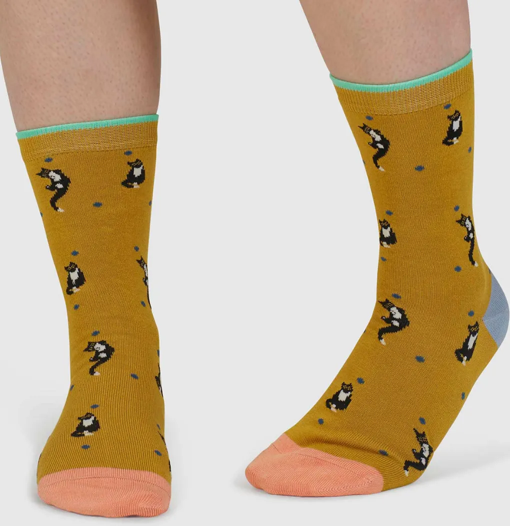 Thought Sasha Cat Organic Cotton 4 Pack Sock Box