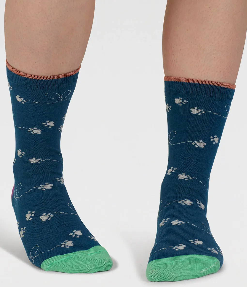 Thought Sasha Cat Organic Cotton 4 Pack Sock Box