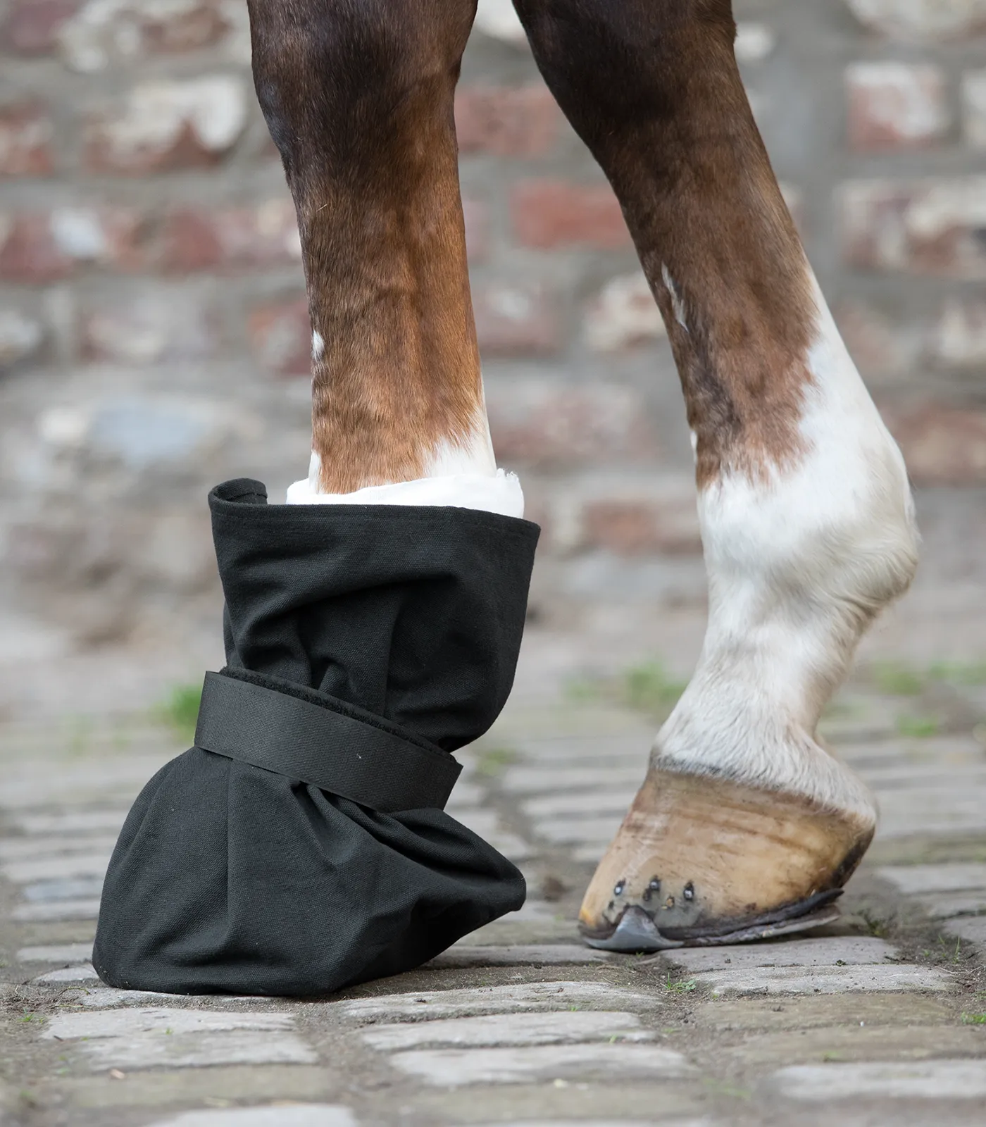 Waldhausen Cover for Hoof Bandage