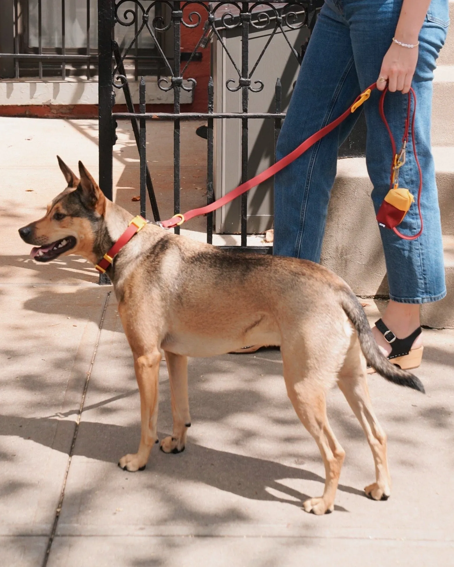 Walk Set