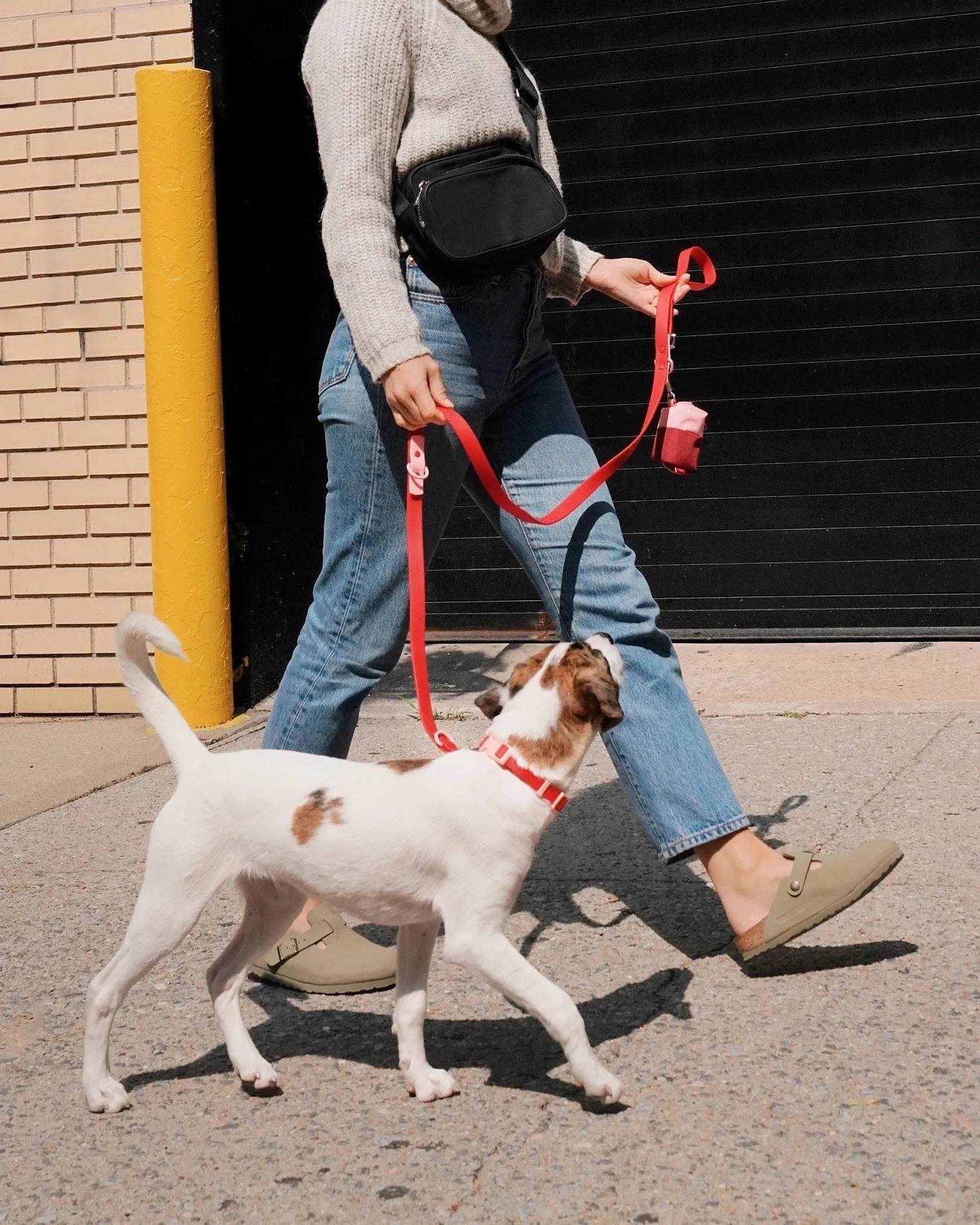 Walk Set