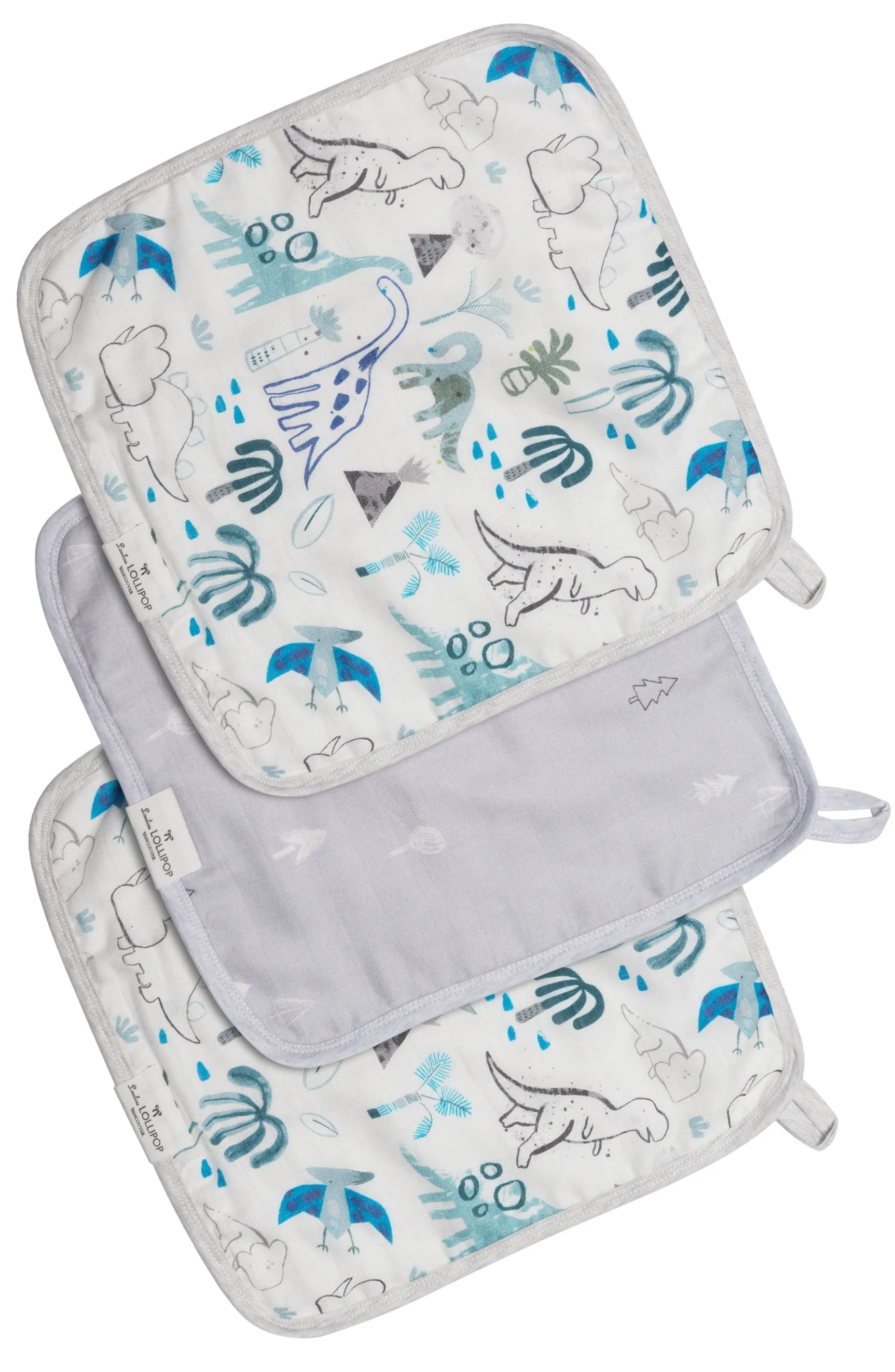 Washcloth Set - 3 Pack - Dinosaurs
