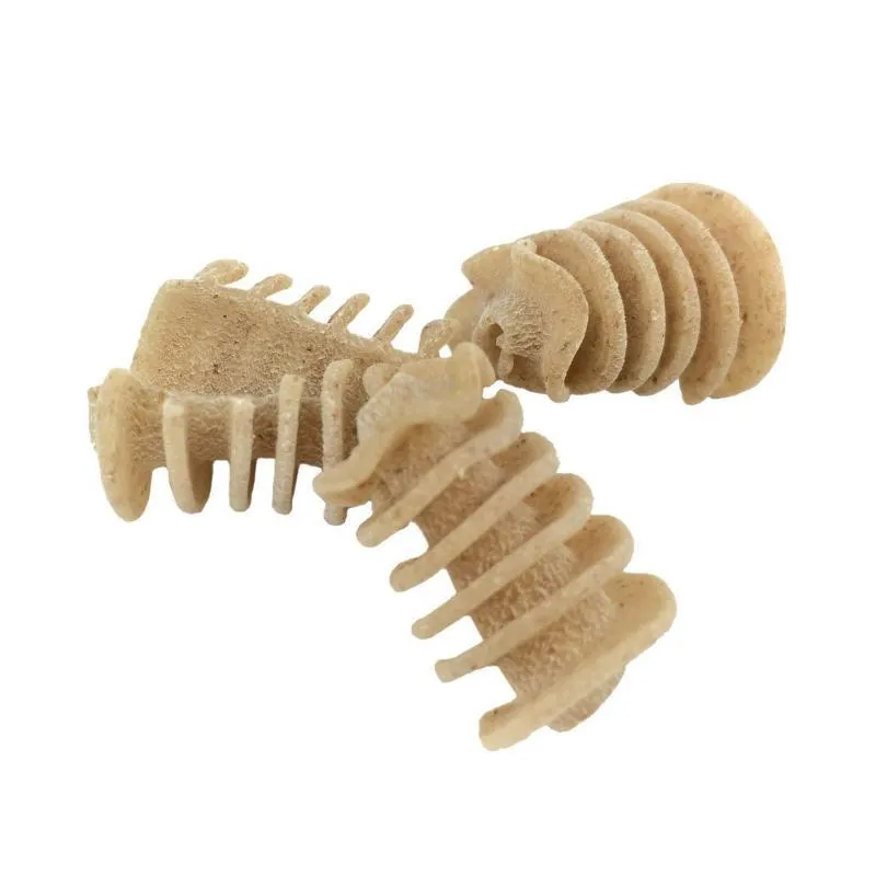 Whole Grain Radiators