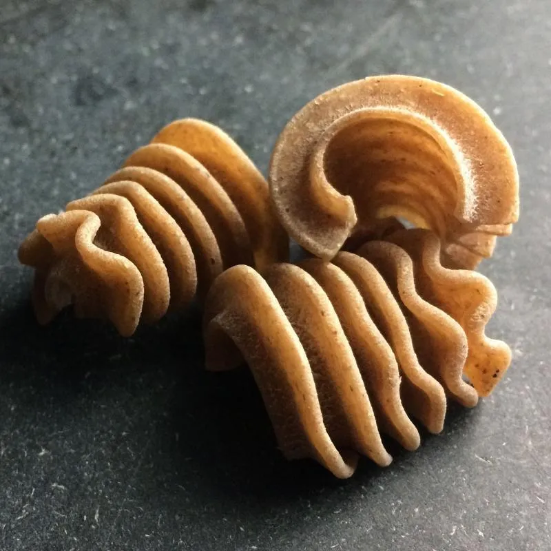 Whole Grain Radiators